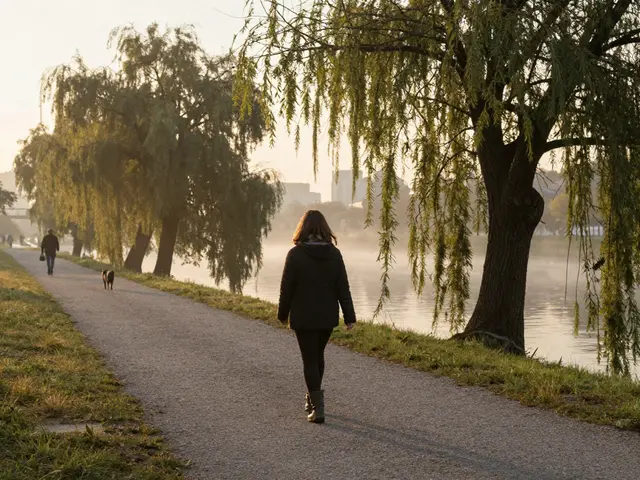 Sandra Star’s Munich: Dreams in the City